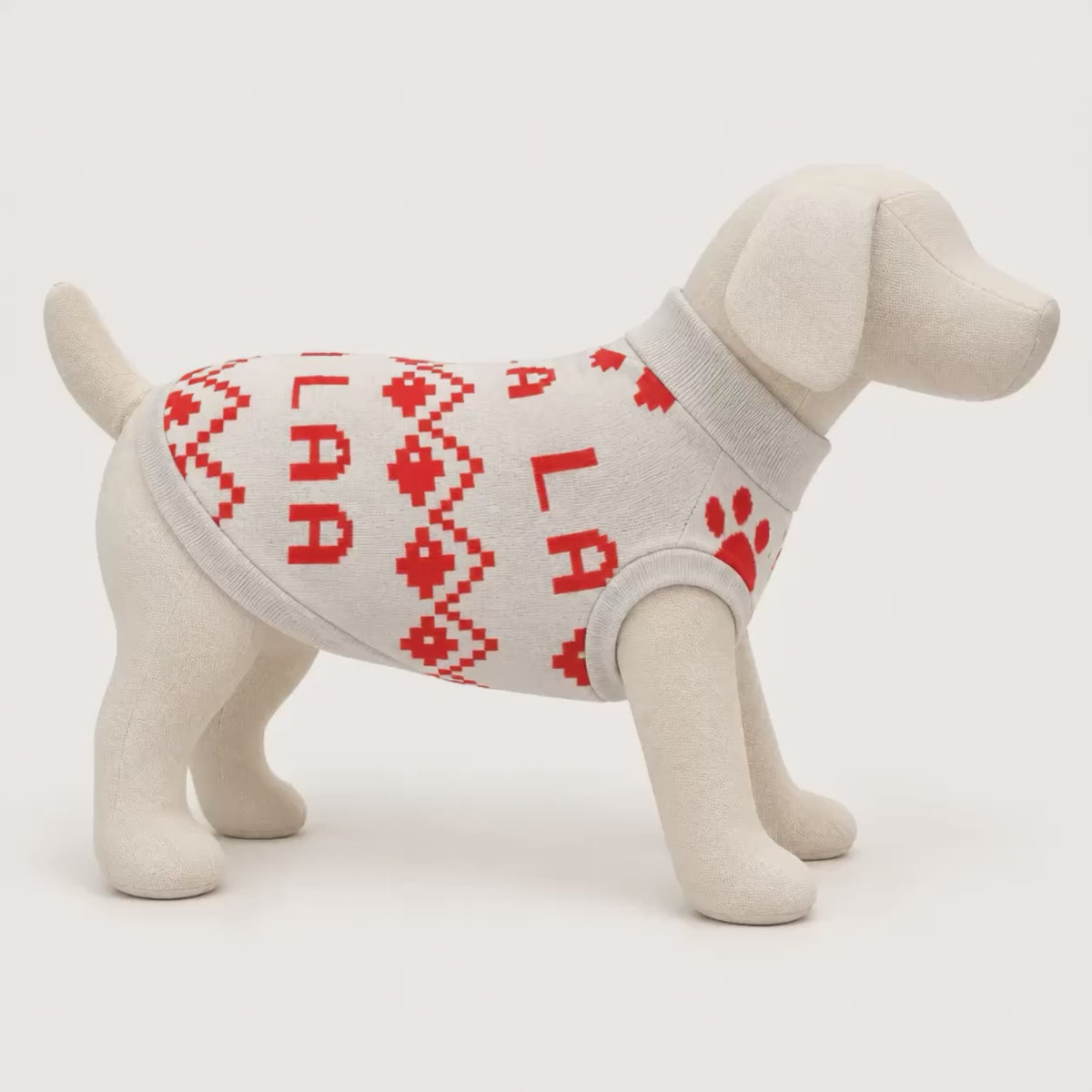 Dog red and white Christmas sweater on a dog mannequin, video