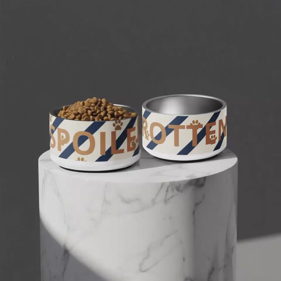 Spoiled Rotten luxury stainless steel dog bowl food and water bowl set 18 oz with anti-slip base