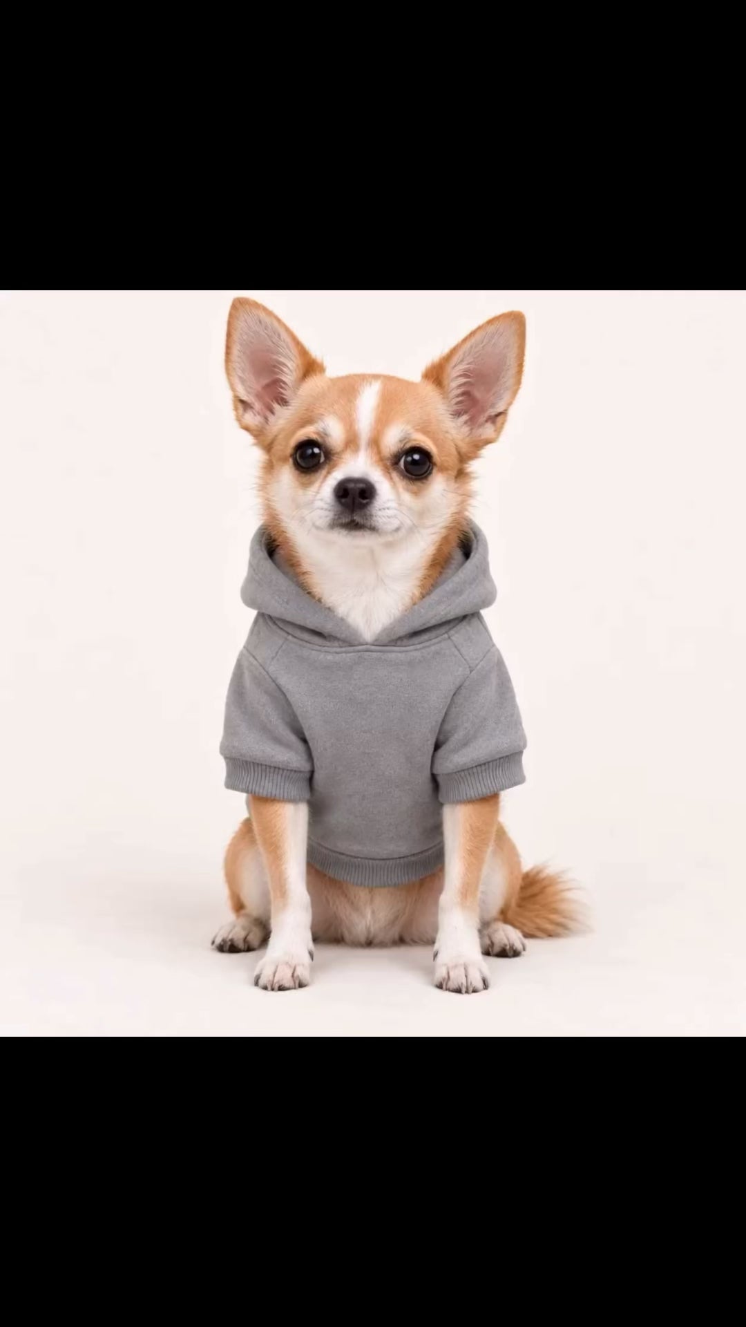 The Warrior's Way Samurai Dog Hoodie- Gray and Navy XS - 2XL