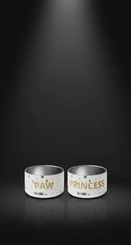 Luxury Stainless Steel Dog Bowl, Modern Pattern, “PRINCESS”, Gold, 18 and 32 oz.