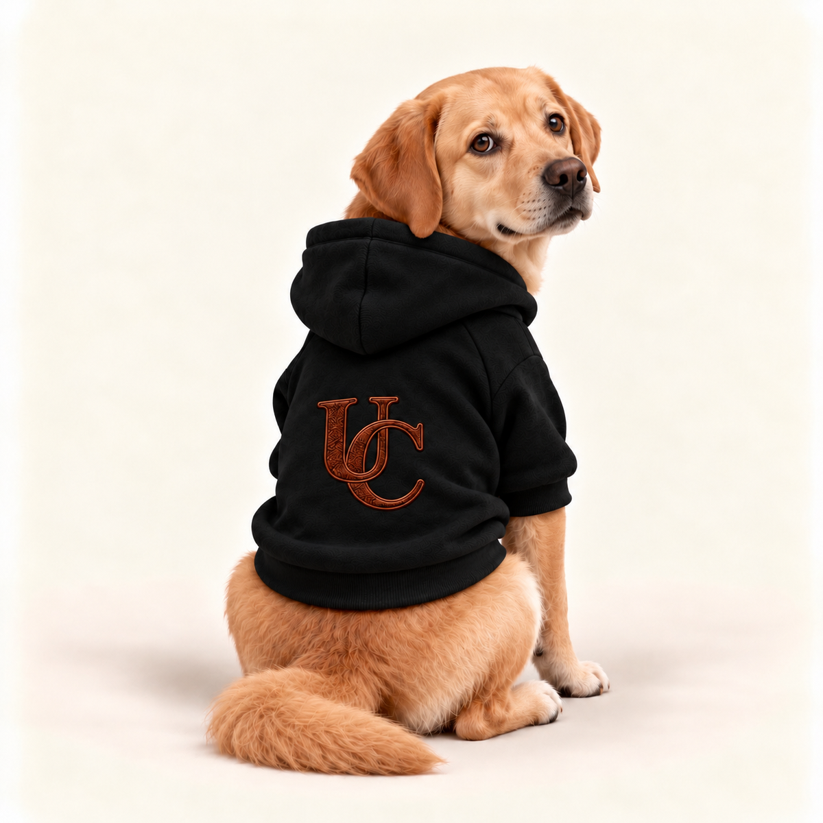 A golden retriever wearing a signature black dog hoodie with the exclusive brown UC monogram on the back.
