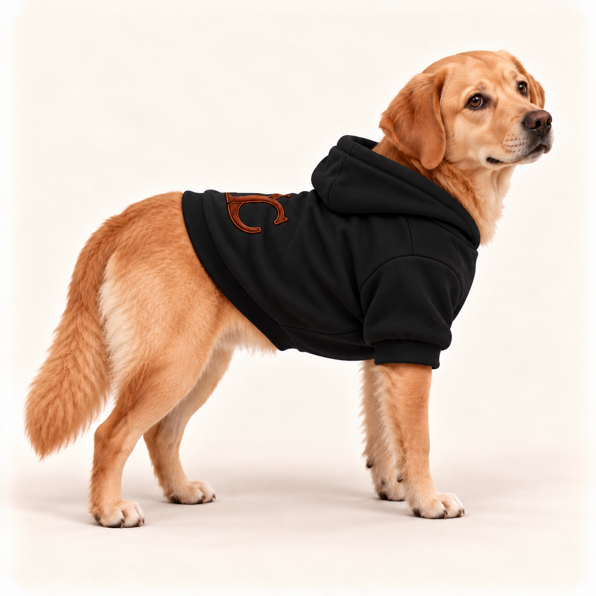 A golden retriever dog wearing a black dog hoodie with a brown embroidered letter 'UC' on the back, standing against a plain off-white studio background.