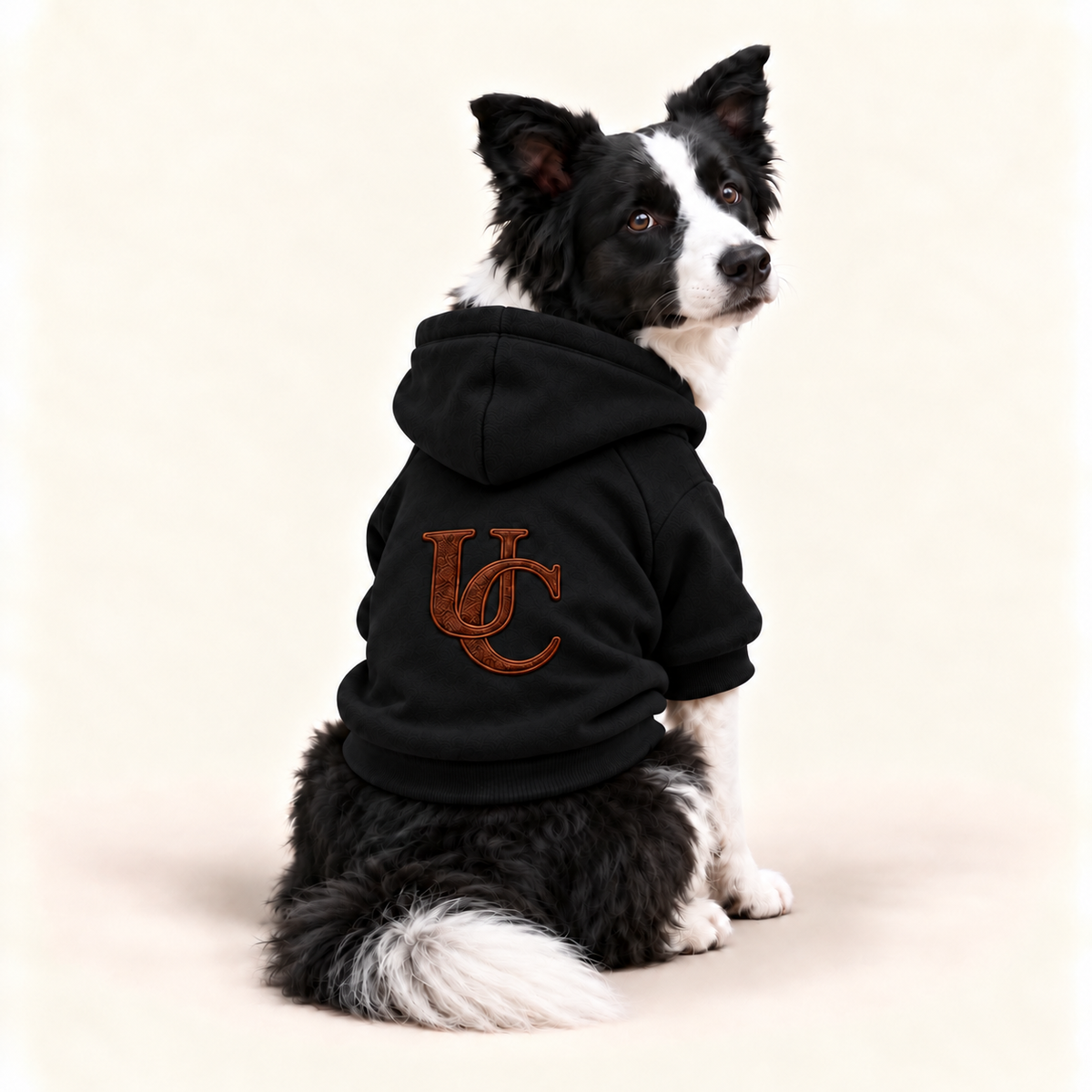 A black dog hoodie with a brown embroidered 'UC' monogram on the back, modeled by a black and white Border Collie against a white background.