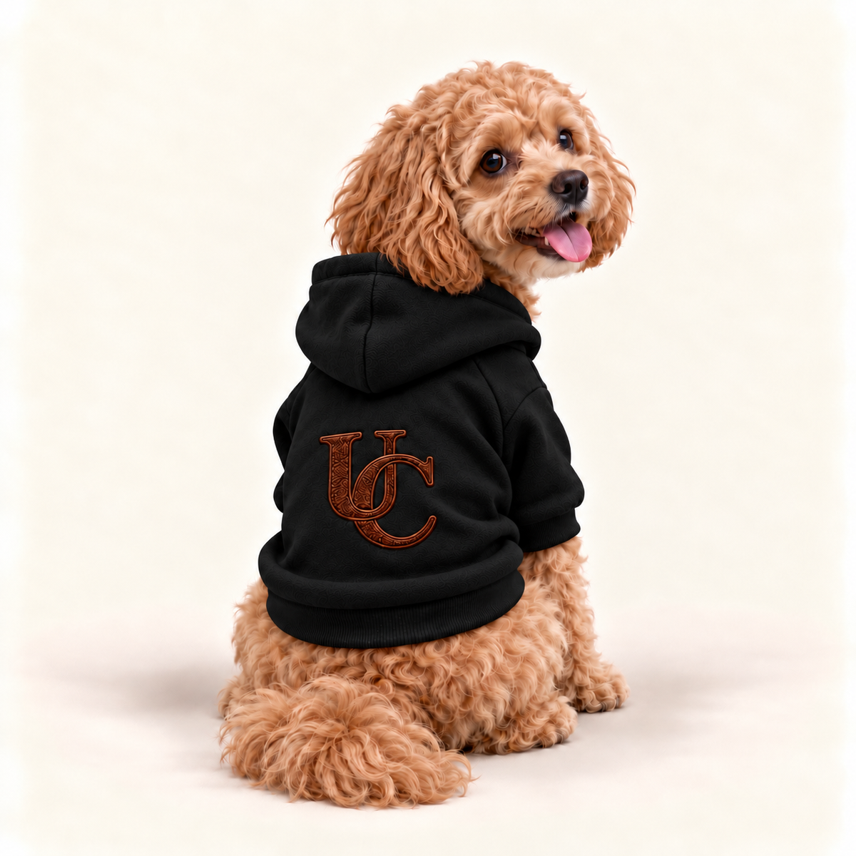 A small curly-haired dog wearing a black hoodie with a brown embroidered 'UC' logo on the back, photographed against a plain light beige studio background.