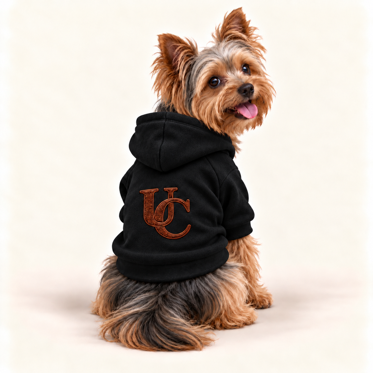 Yorkshire Terrier wearing a black UC monogram dog hoodie with dimensional brown lettering across the back, off white background