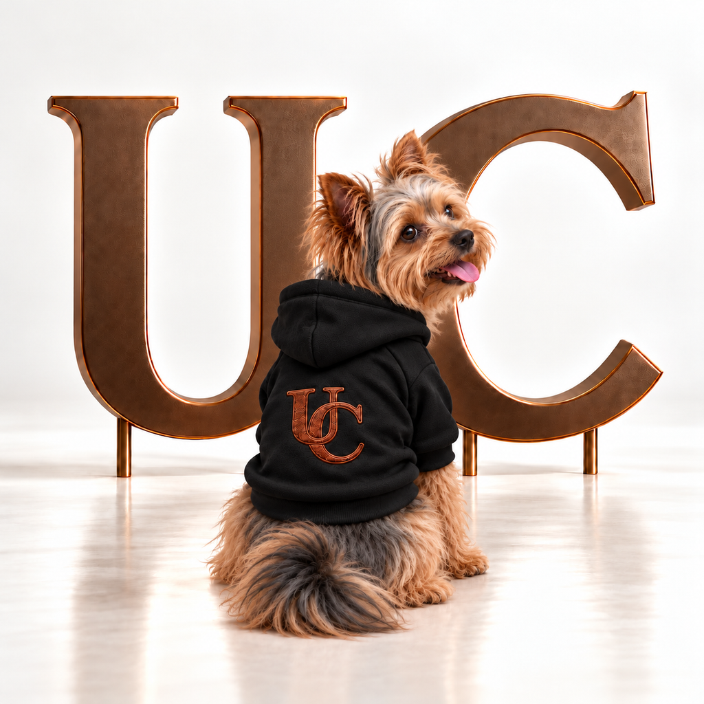 Uncommon Signature UC Monogram black Dog Hoodie displayed in a luxury studio setting with oversized bronze UC letters.