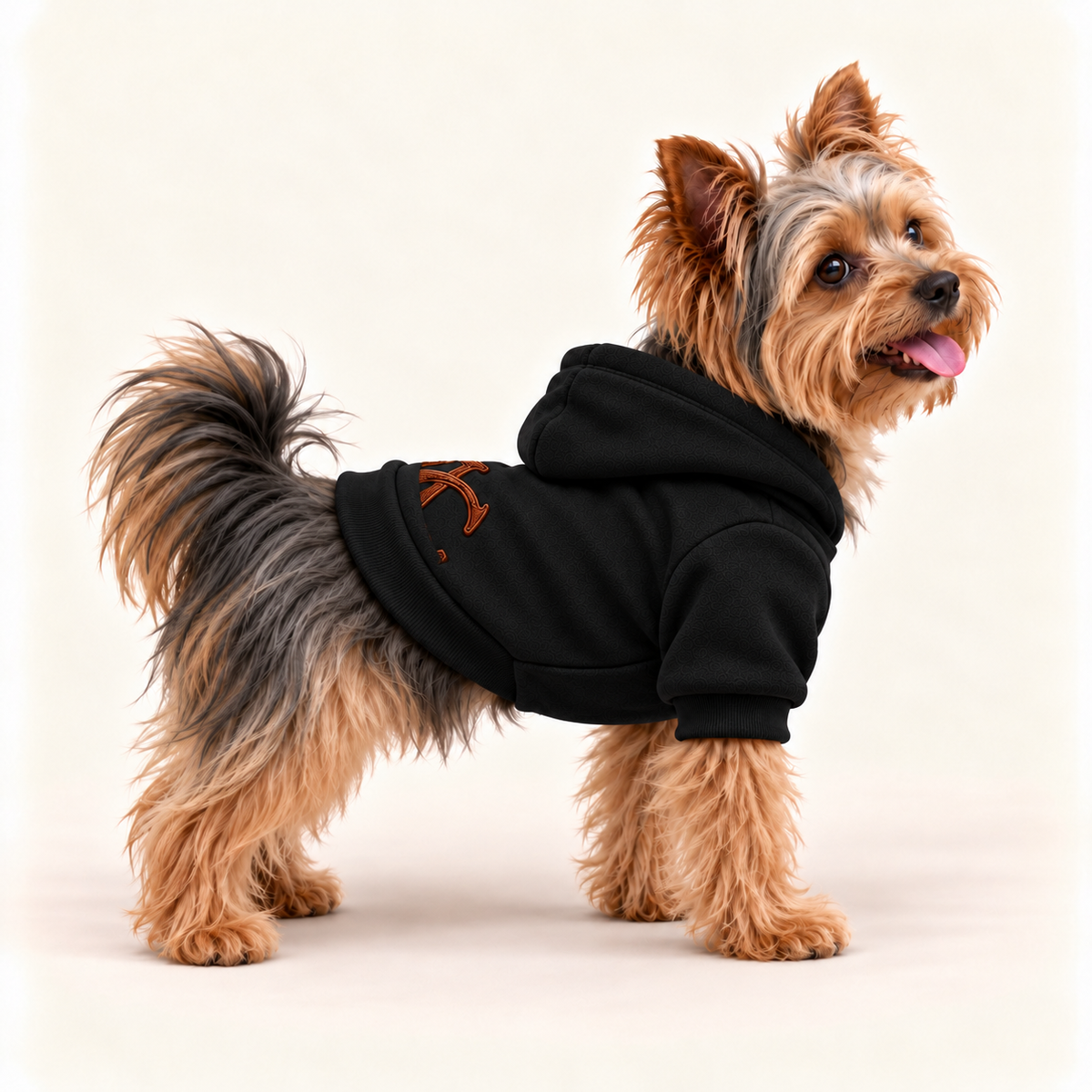 Yorkshire Terrier wearing a black UC monogram dog hoodie with dimensional brown lettering across the back, side view.