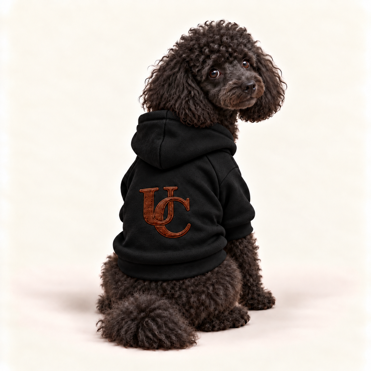 A small black poodle wearing a black hoodie with a brown embroidered 'UC' logo on the back, photographed against a plain light beige studio background.