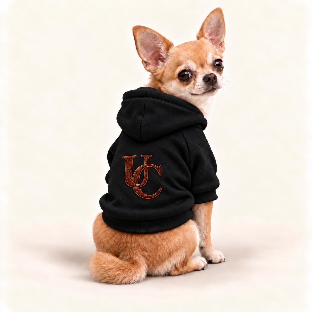 A Chihuahua dog wearing a black pet hoodie with a brown embroidered monogram logo on the back, photographed against a clean off-white studio background.