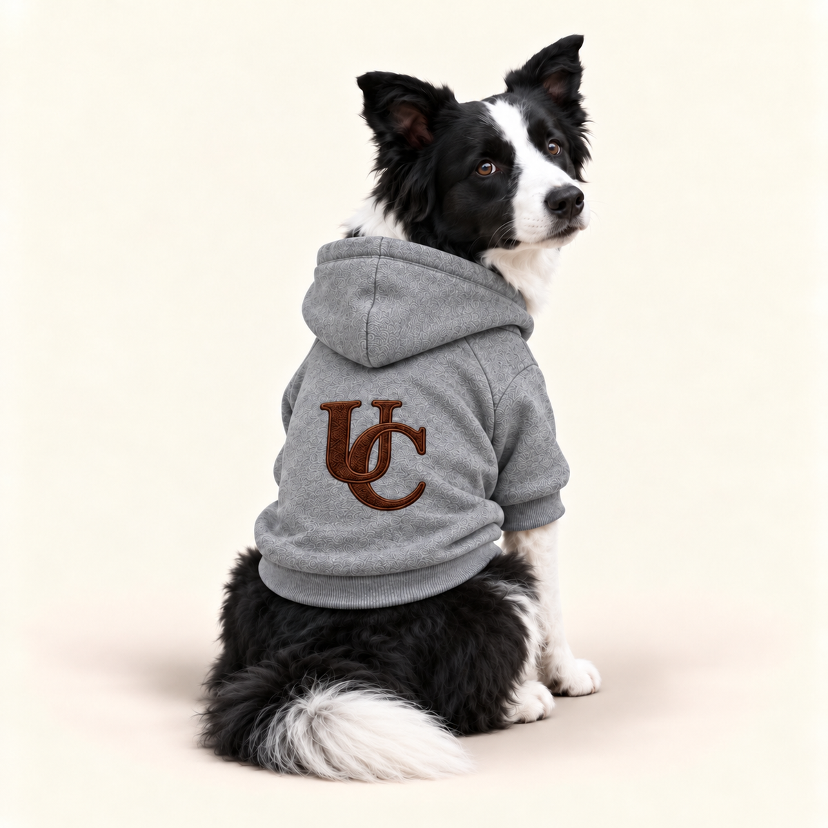 A black & white dog wearing a signature gray dog hoodie with the exclusive brown UC monogram on the back.