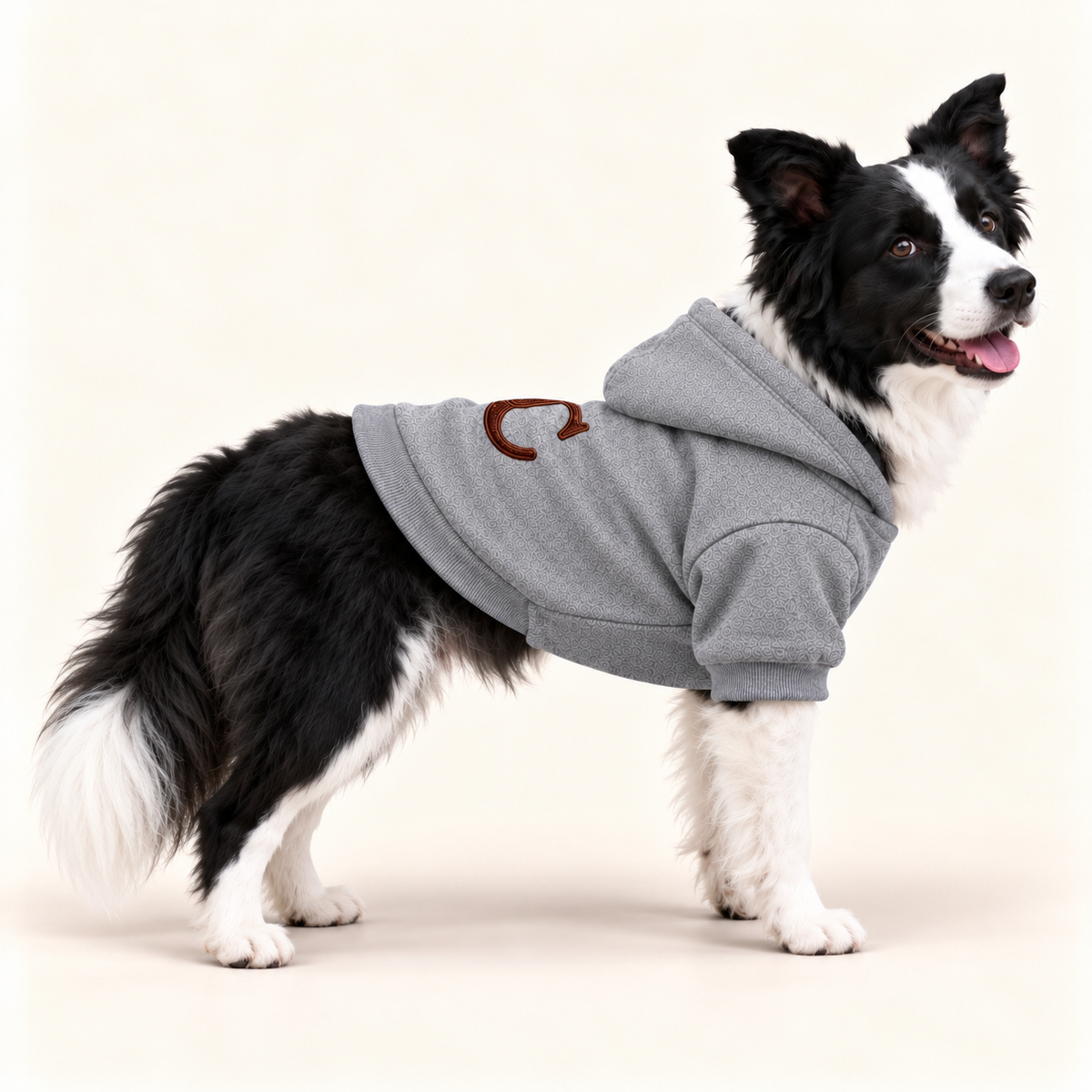 Border Collie dog modeling a heather gray UC monogram hoodie, showing the side profile, hood, and ribbed sleeves.