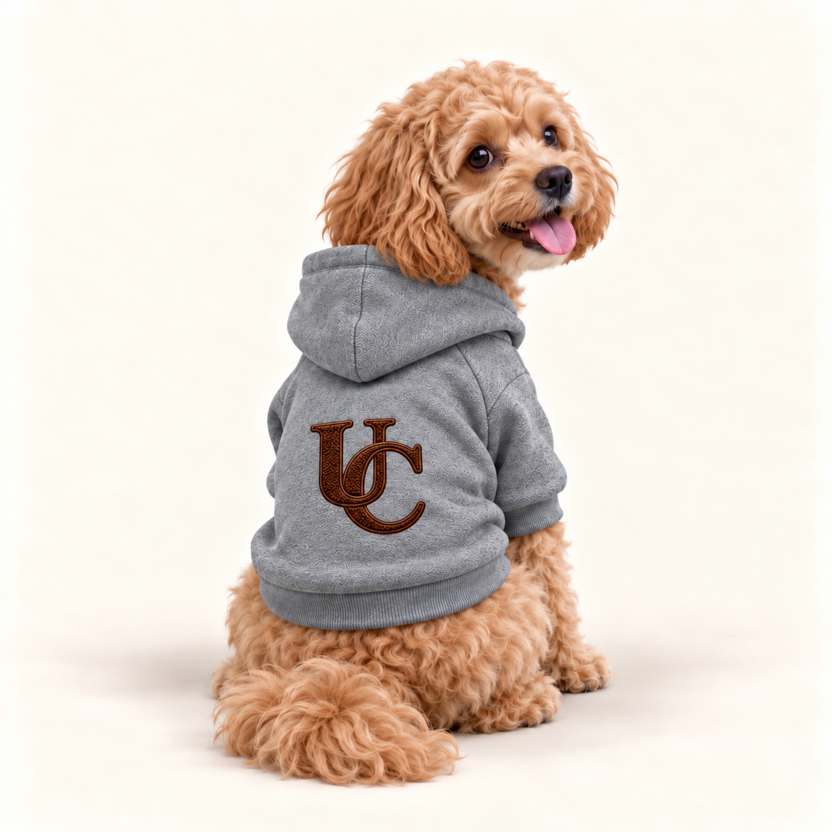A Cavapoo wearing a signature gray dog hoodie with the exclusive dark brown UC monogram on the back.