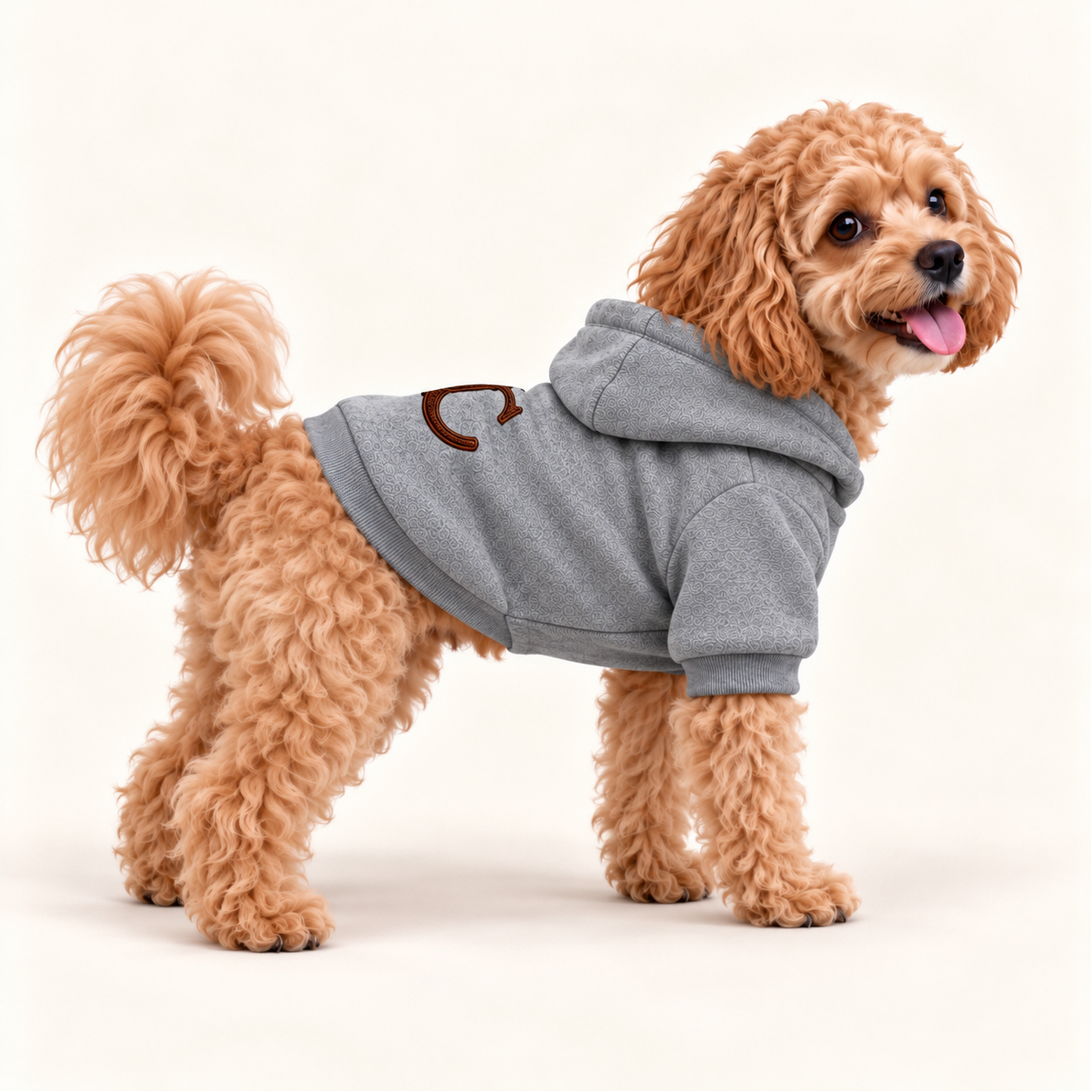 Cavapoo dog modeling a heather gray UC monogram hoodie, showing the side profile, hood, and ribbed sleeves.