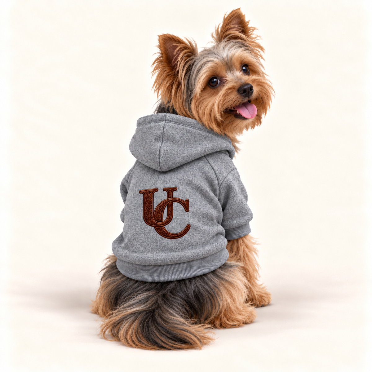Yorkshire Terrier wearing a signature gray  dog hoodie with the exclusive brown UC monogram on the back.