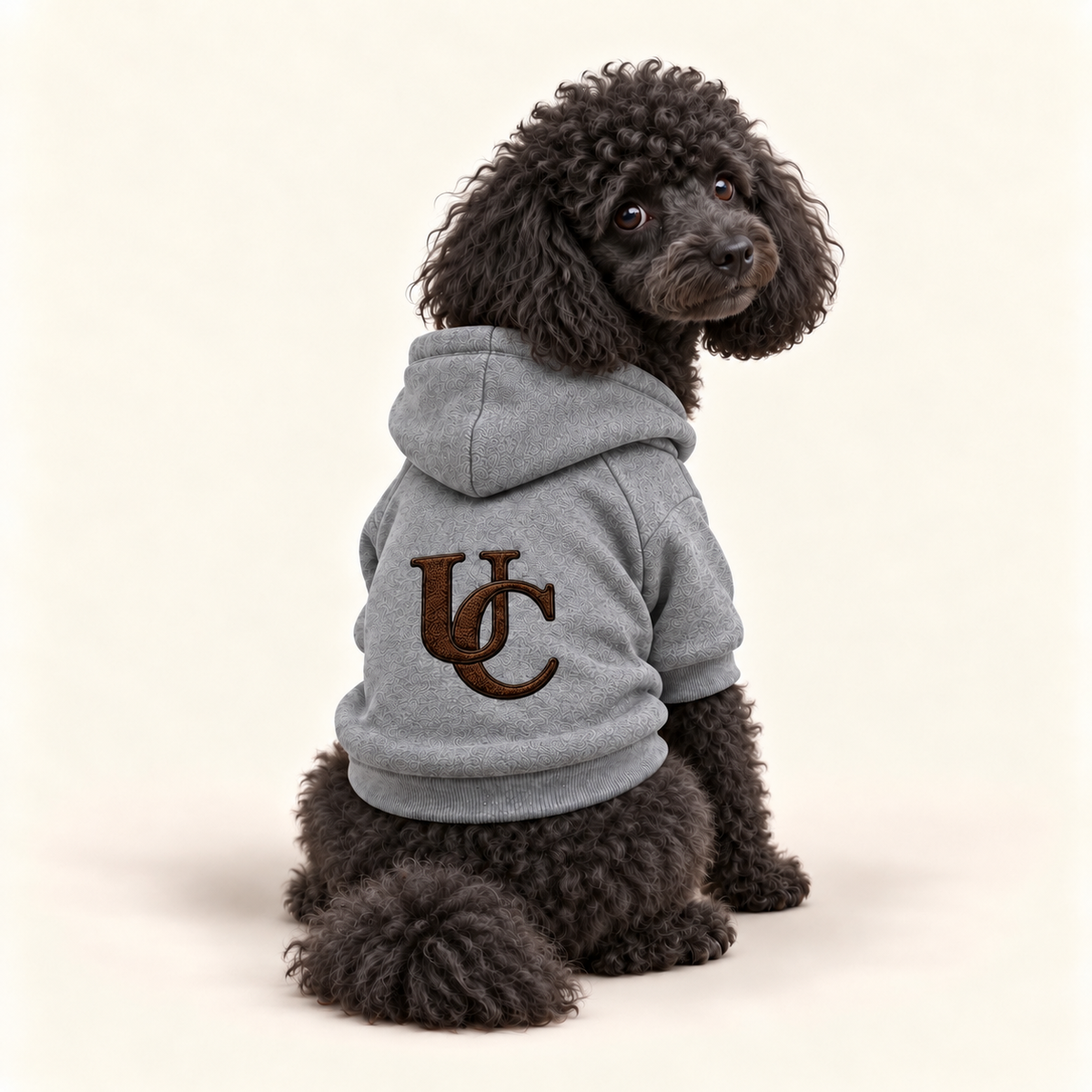 A poodle wearing a signature gray dog hoodie with the exclusive brown UC monogram on the back. On a white background