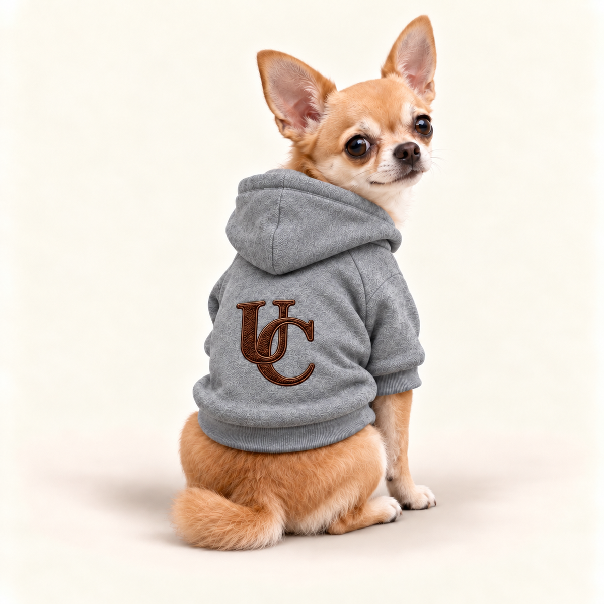 Yorkshire Terrier wearing a signature gray dog hoodie with the exclusive brown UC monogram on the back.