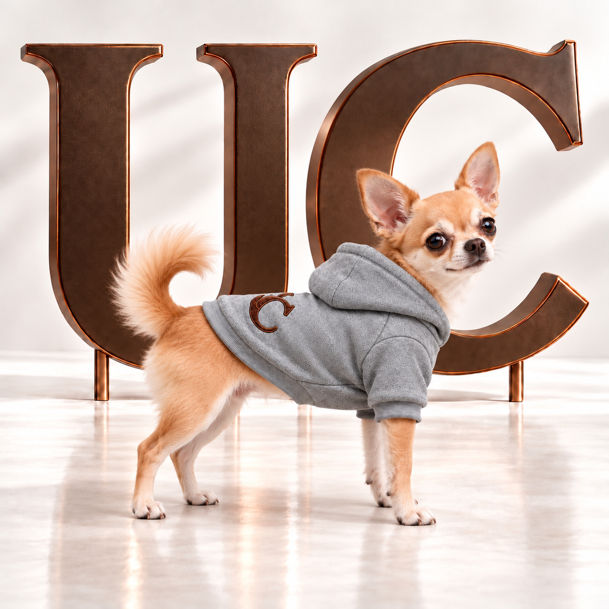 Uncommon Signature UC Monogram Gray Dog Hoodie displayed in a luxury studio setting with oversized bronze UC letters.