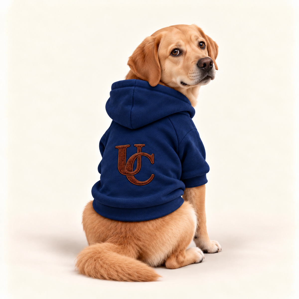 A golden retriever dog wearing a navy-blue pet hoodie with a brown embroidered 'UC' logo on the back, sitting against a off-white background.