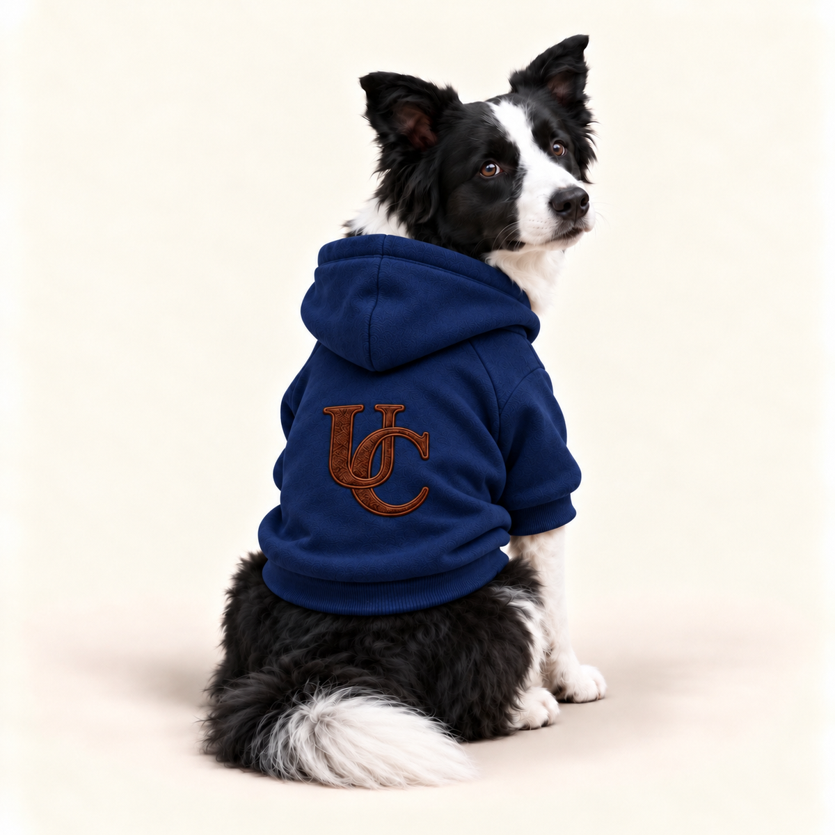 A black & white dog a wearing a signature blue dog hoodie with the exclusive dark brown UC monogram on the back.