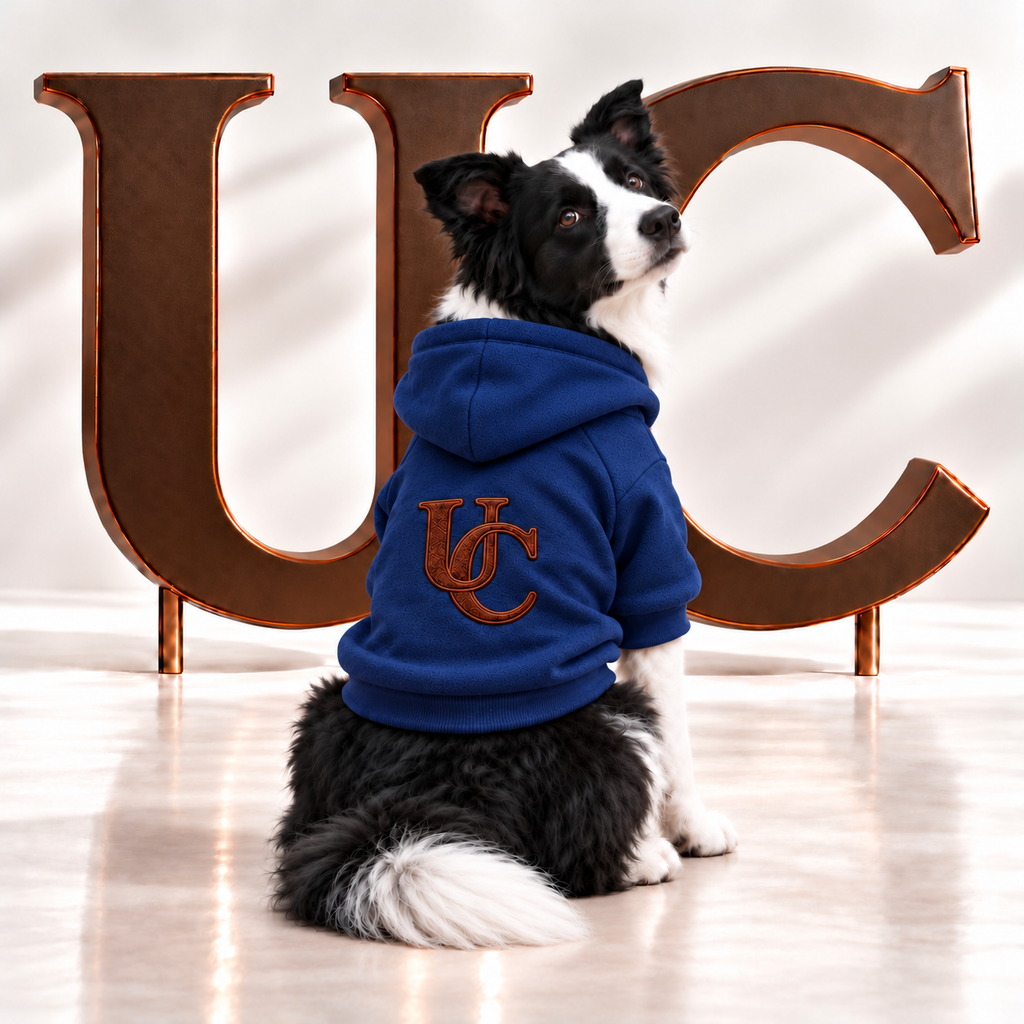 A Border Collie wearing Uncommon Signature UC Monogram Dog Hoodie displayed in a luxury studio setting with oversized bronze UC letters