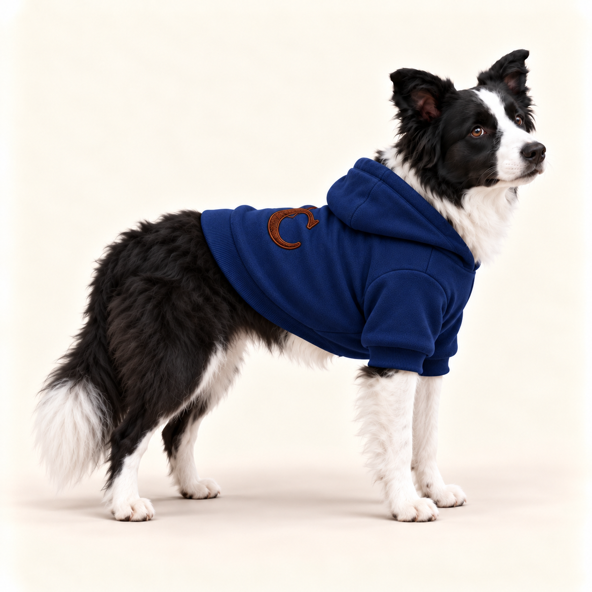 A dog wearing a navy-blue dog hoodie with a brown monogram 'UC' on the back, standing against a solid off white background.