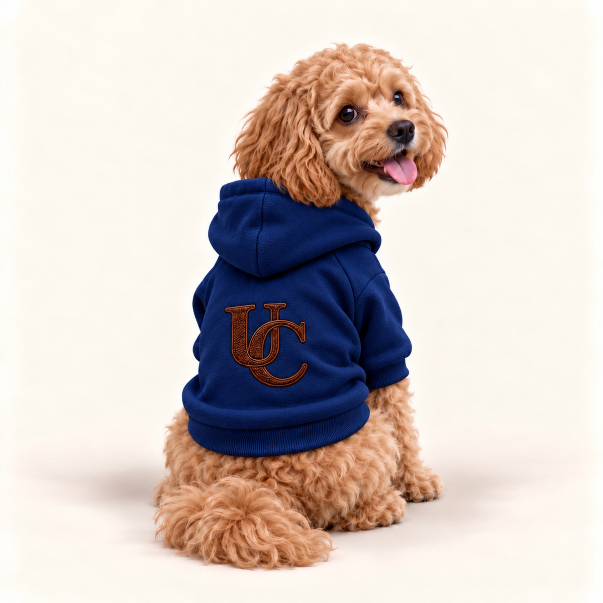 Cavapoo modeling the Uncommon Signature blue dog hoodie with a comfortable pullover fit and ribbed sleeves, back view.