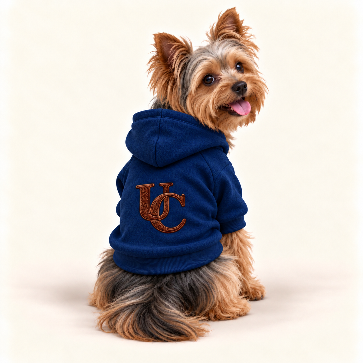 Yorkshire Terrier wearing a signature team royal dog hoodie with the exclusive brown UC monogram on the back.