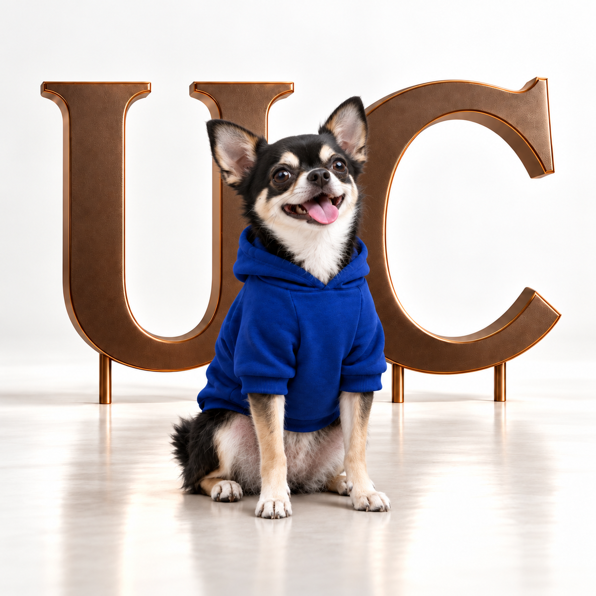 A Chihuahua wearing Uncommon Signature UC Monogram Dog Hoodie displayed in a luxury studio setting with oversized bronze UC letters.