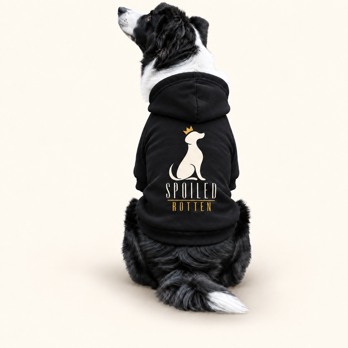 Dog Hoodie — Spoiled Rotten Various Colors S-2XL