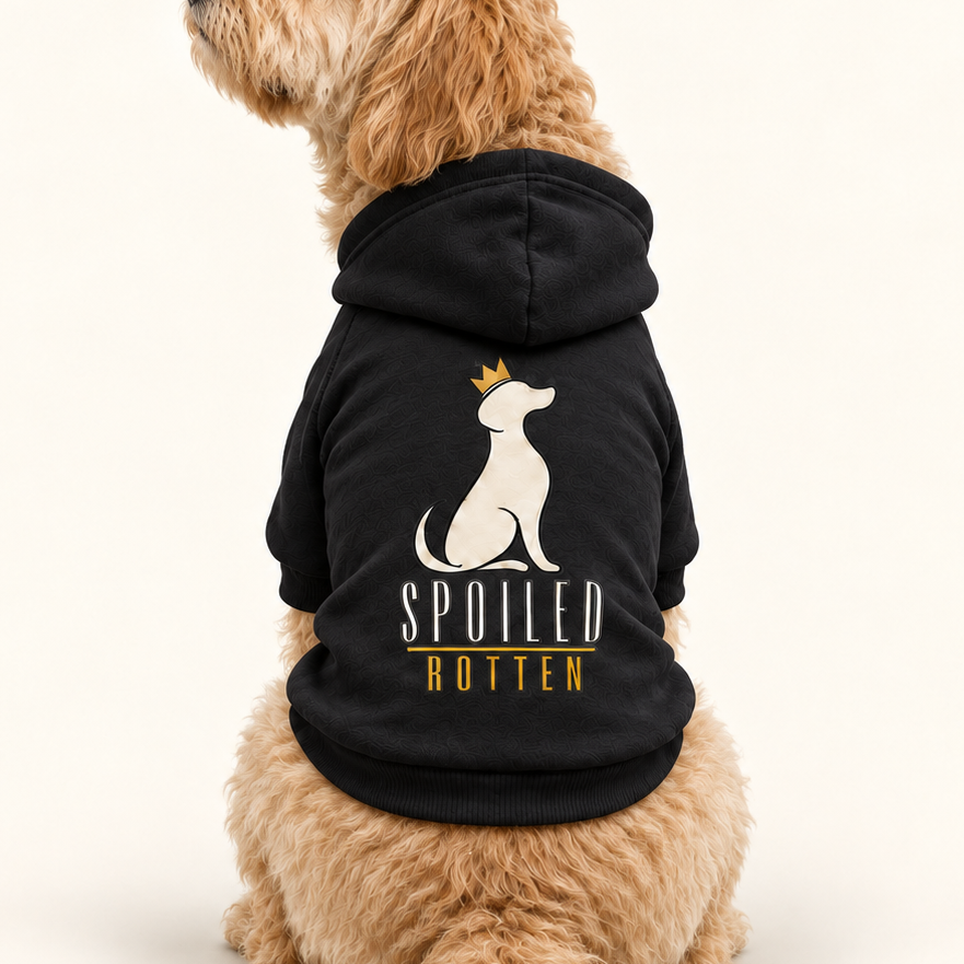 A close-up of a dog wearing a black hoodie with a white dog silhouette, a small gold crown, and the words 'SPOILED ROTTEN' on the back.