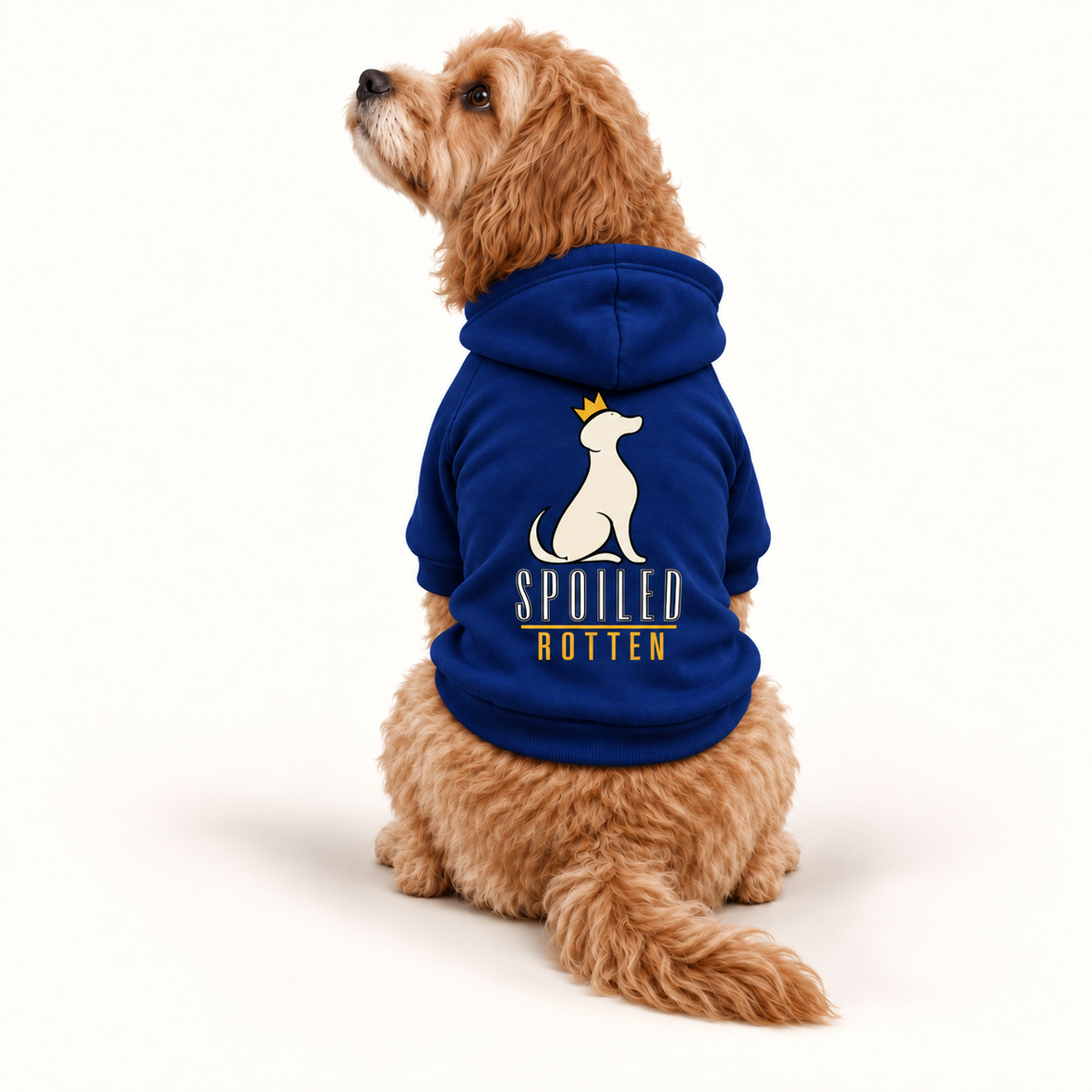 Dog Hoodie — Spoiled Rotten Various Colors S-2XL