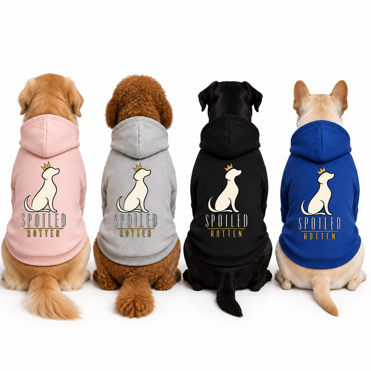 Dog Hoodie — Spoiled Rotten Various Colors S-2XL