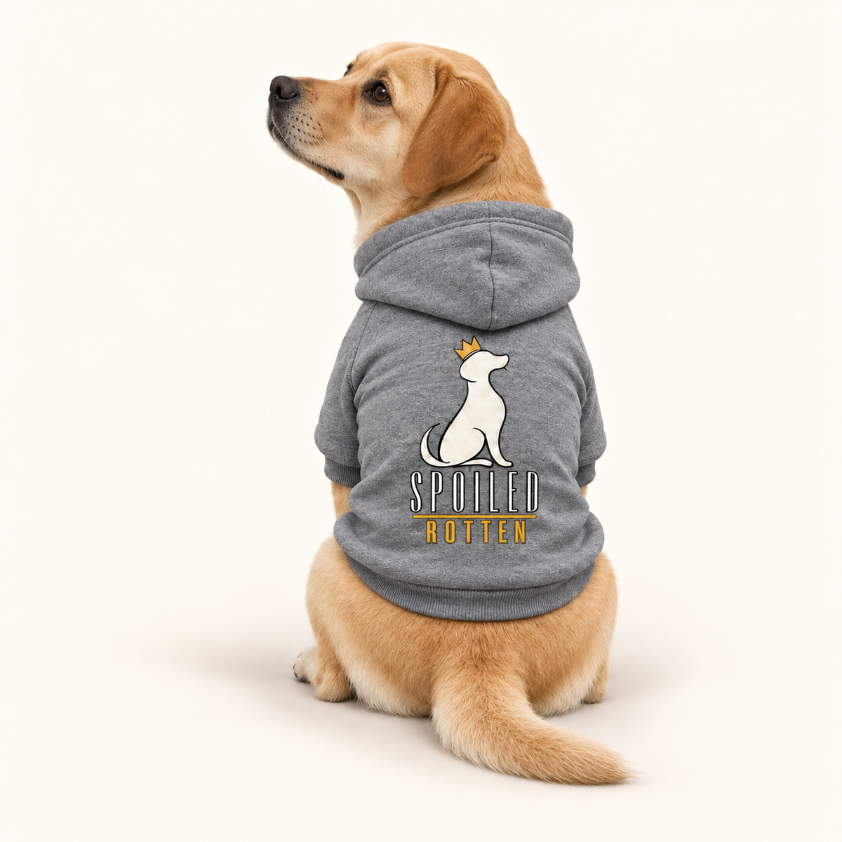 Dog Hoodie — Spoiled Rotten Various Colors S-2XL
