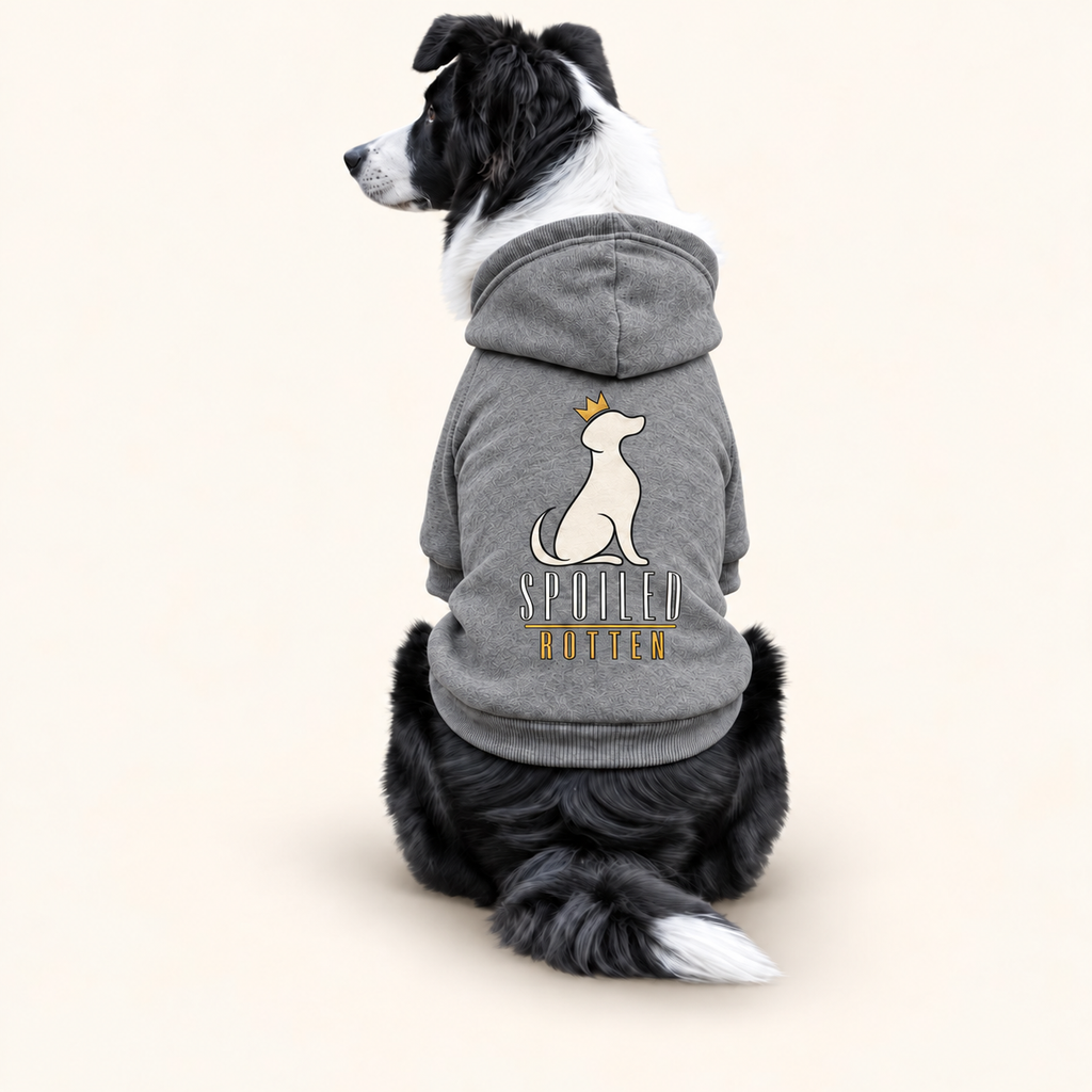 A large dog wearing a gray hoodie with a white dog silhouette, a small gold crown, and the text 'SPOTTED BOTTEN' on the back, shown against a white background.