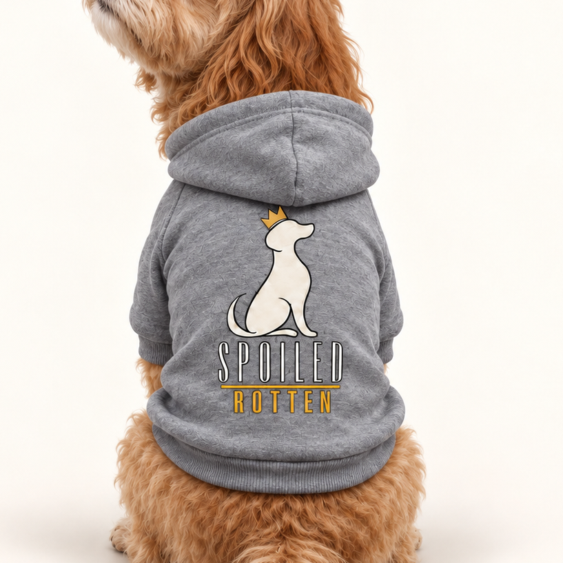 A close-up of a dog wearing a gray hoodie with a white spotted dog graphic and the words 'SPOTTED ROTTEN' on the back.