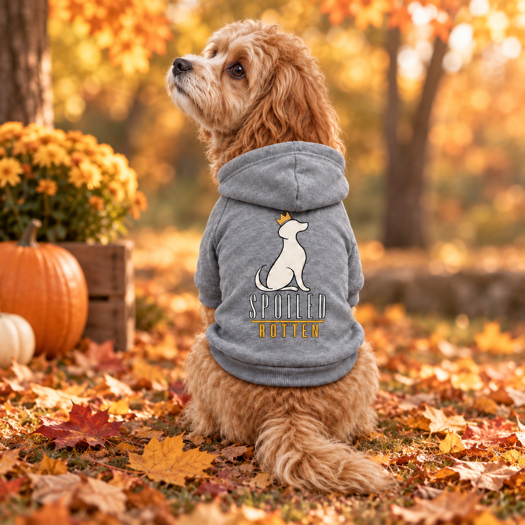 Dog Hoodie — Spoiled Rotten Various Colors S-2XL