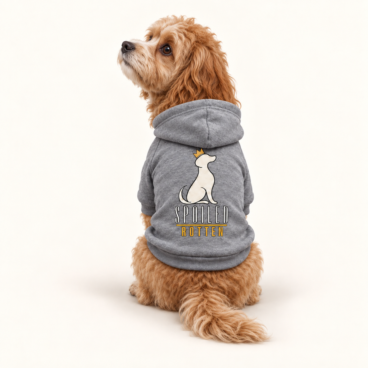 A dog hoodie with a white dog graphic and the words 'SPOTTED DOGGEN' on the back, photographed against a white background 