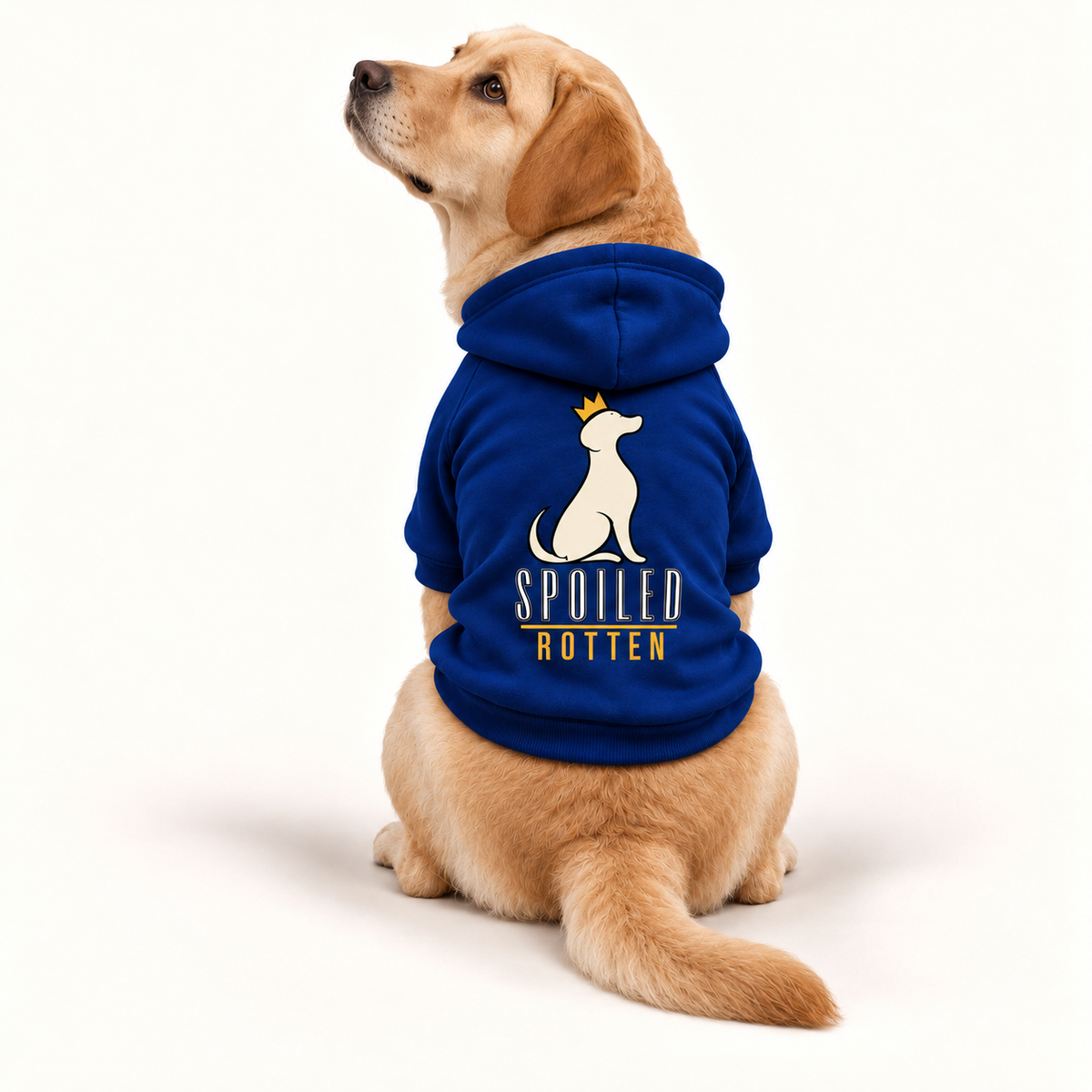 Dog Hoodie — Spoiled Rotten Various Colors S-2XL