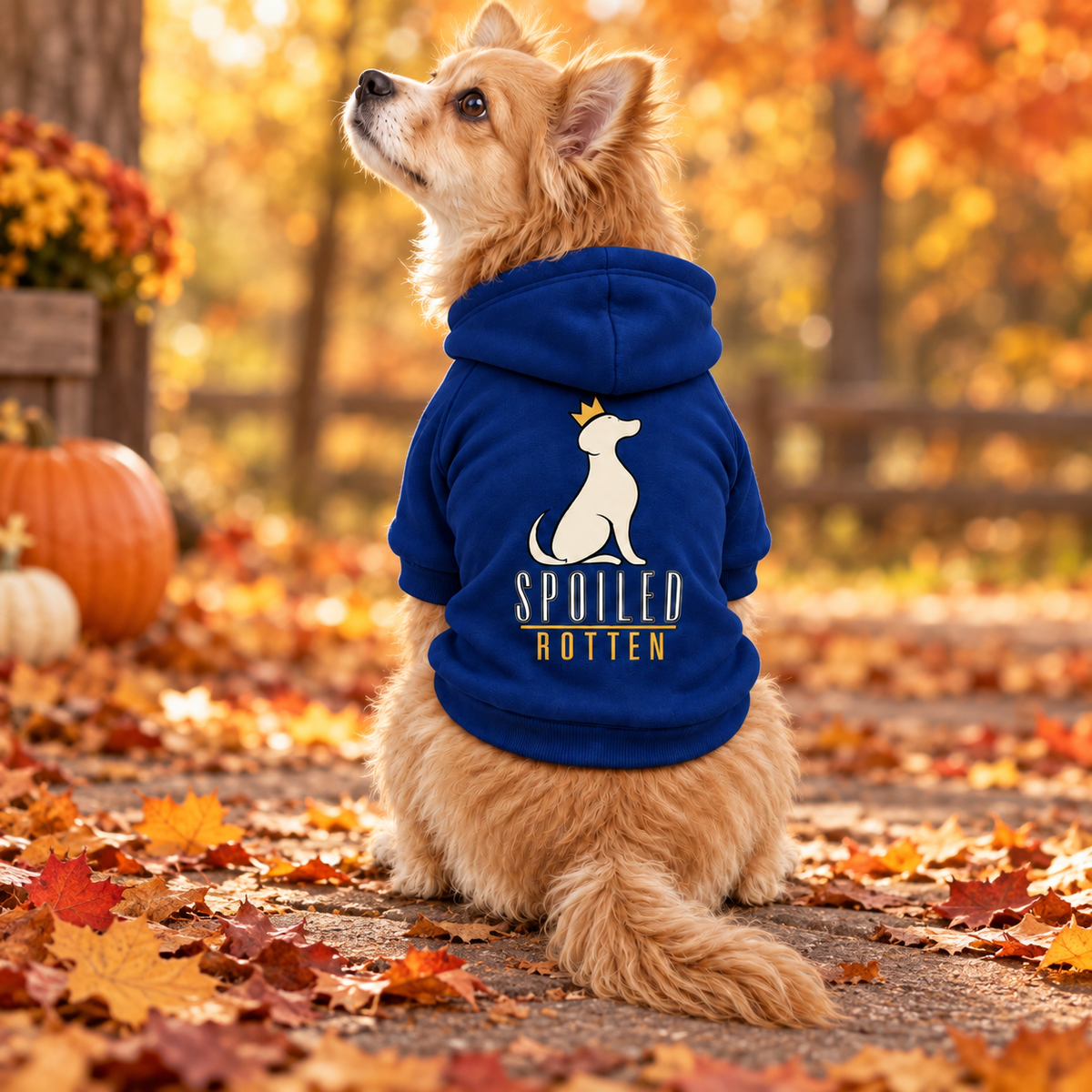 Dog Hoodie — Spoiled Rotten Various Colors S-2XL