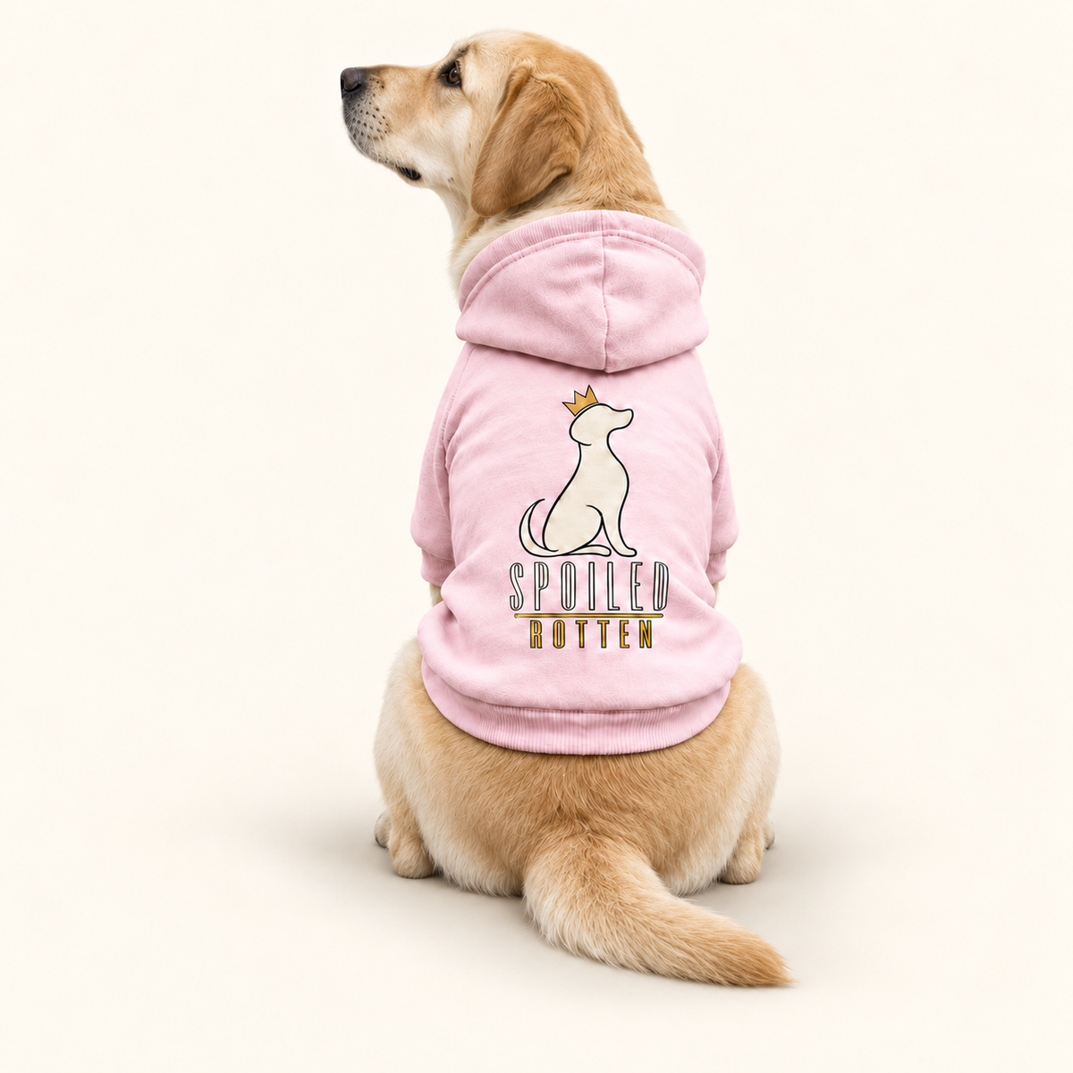 Dog Hoodie — Spoiled Rotten Various Colors S-2XL