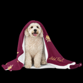 Dog sitting under a burgundy blanket with gold text on a black background
