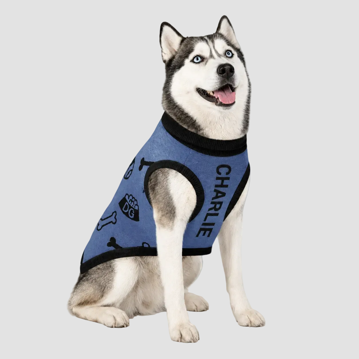 Uncommon Classic Luxe Icon Pattern -Personalized Dog Sweater Blue & Black 2xs - 2xl