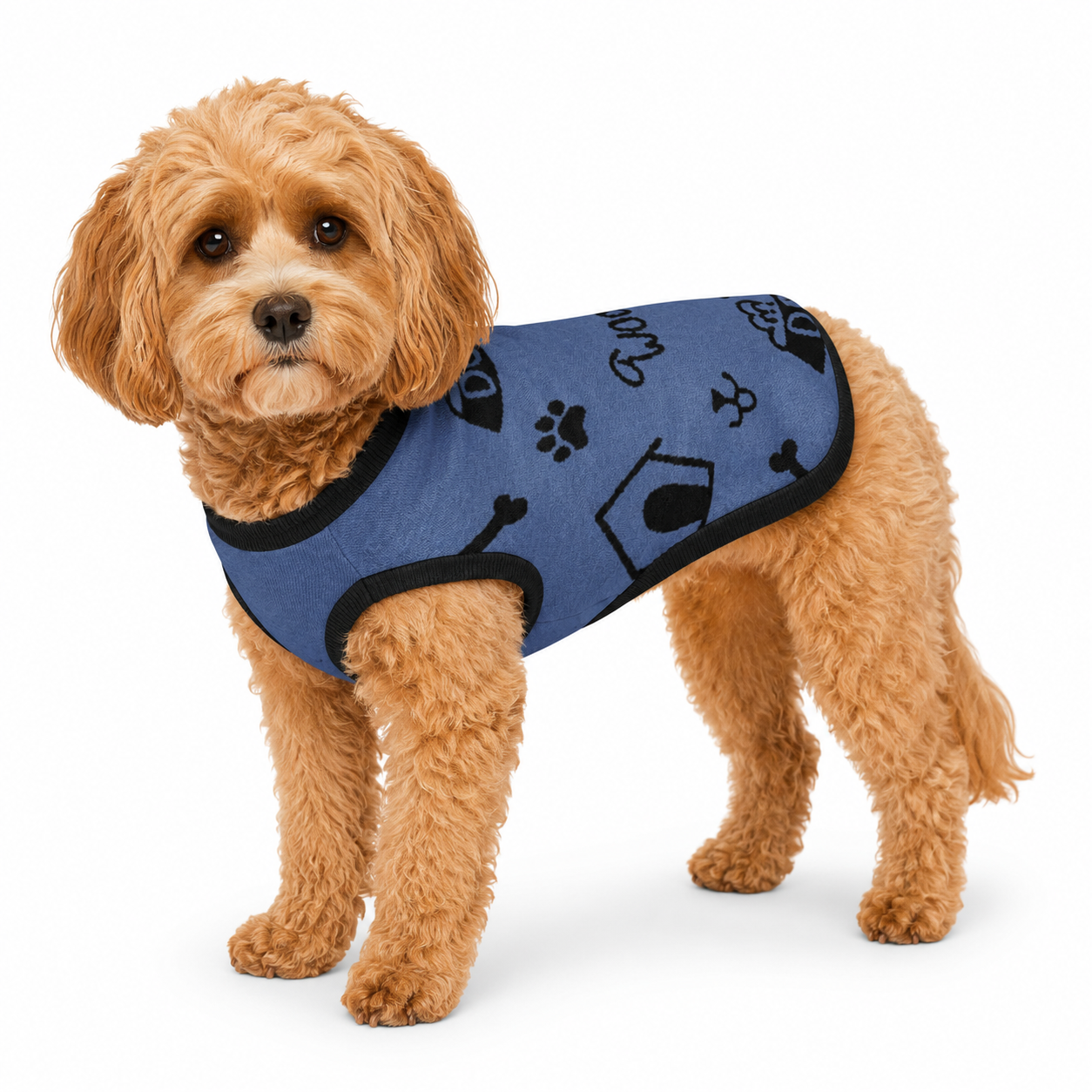 Blue dog sweater with black trim and arm opening side view for small dog