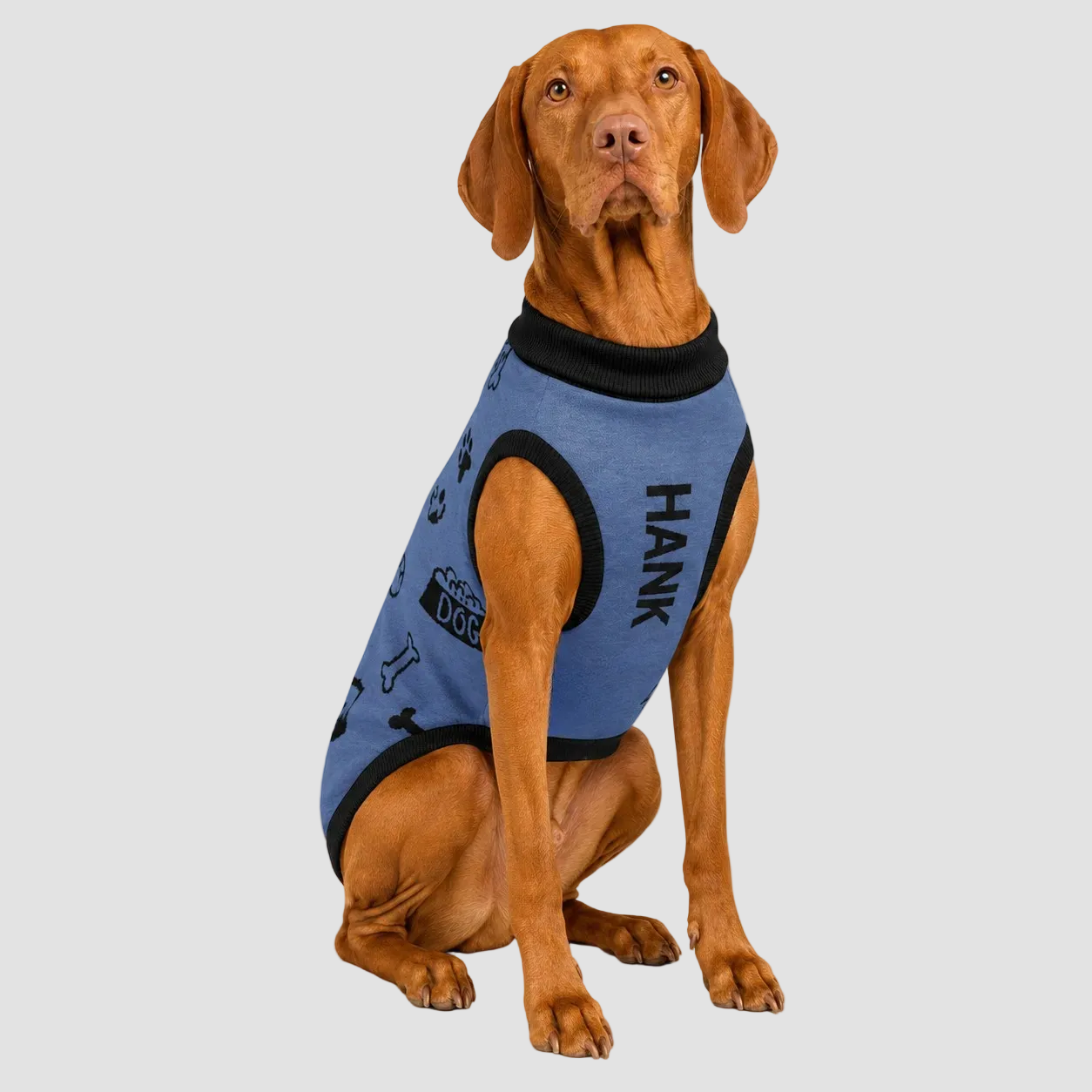 Extra Large dog blue icon pattern personalized dog sweater with black trim front view