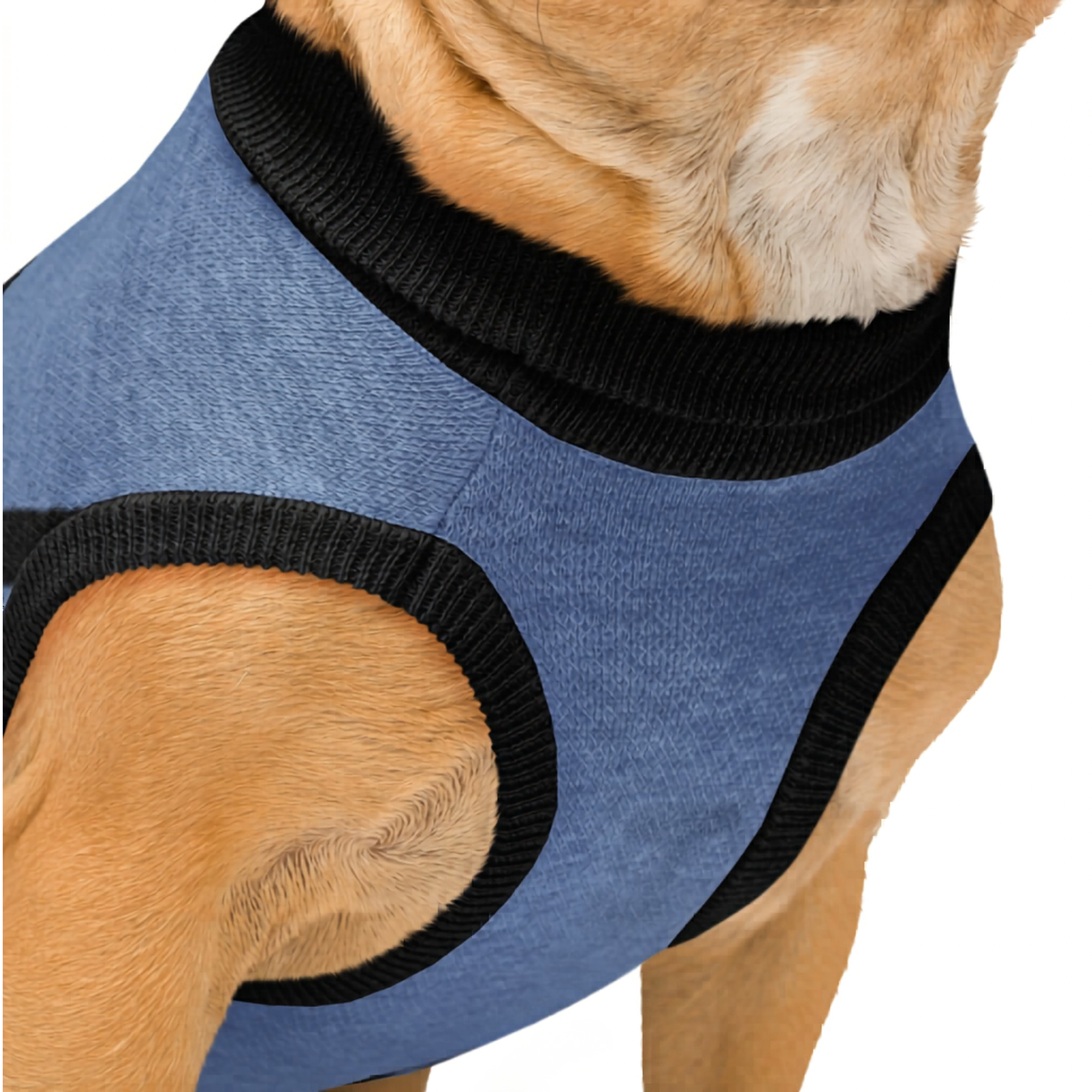 Uncommon Classic Luxe Icon Pattern -Personalized Dog Sweater Blue & Black 2xs - 2xl