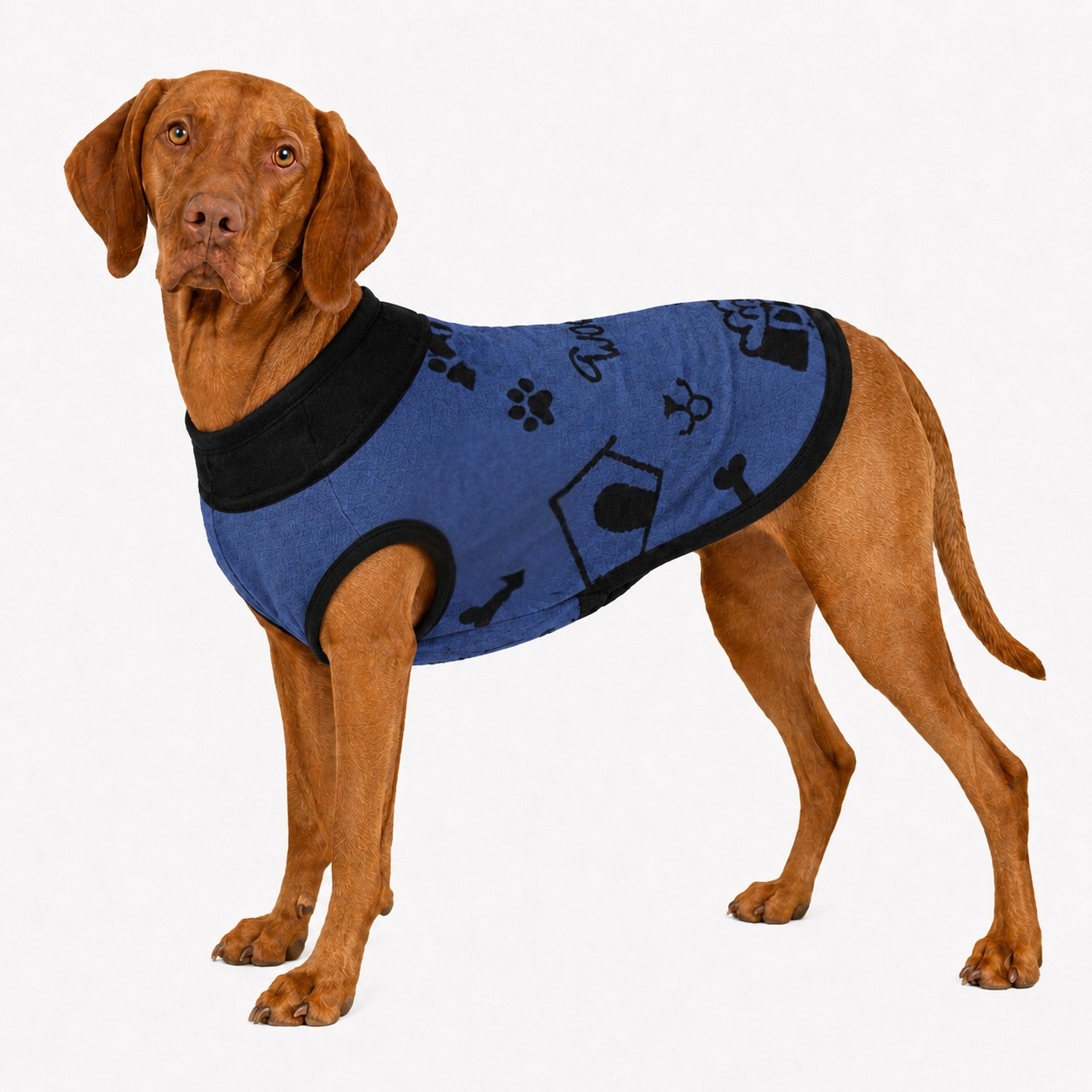 Uncommon Classic Luxe Icon Pattern -Personalized Dog Sweater Blue & Black 2xs - 2xl