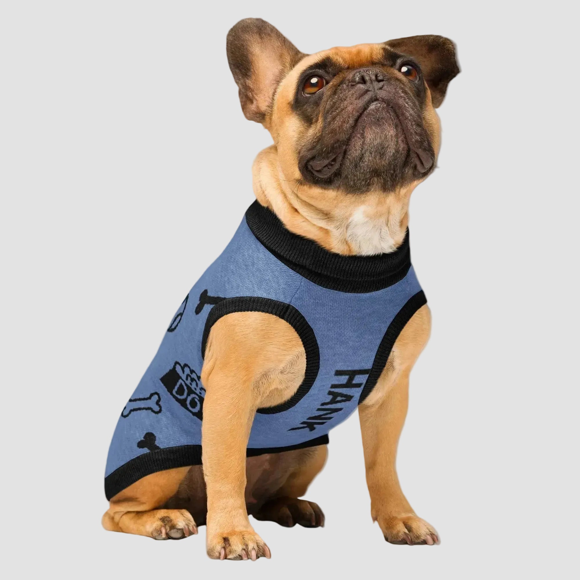 Extra small blue icon pattern personalized dog sweater with black trim front view