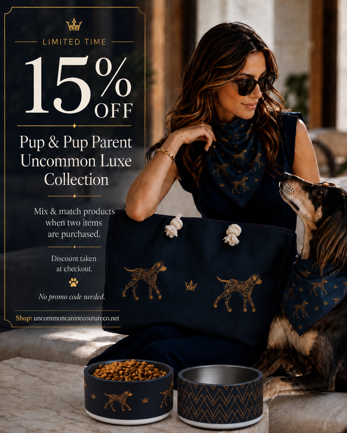 Deep navy and gold geometric and dog-patterned luxury stainless steel dog bowl, 18oz. Collection 15% off special. Uncommon Canine Couture Co. 