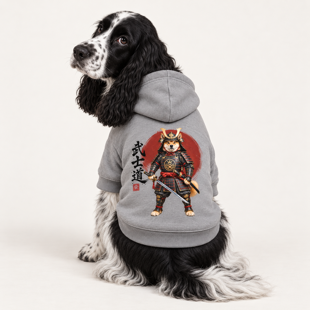A black and white English Springer wearing a gray pet hoodie with a graphic of a samurai dog on the back.