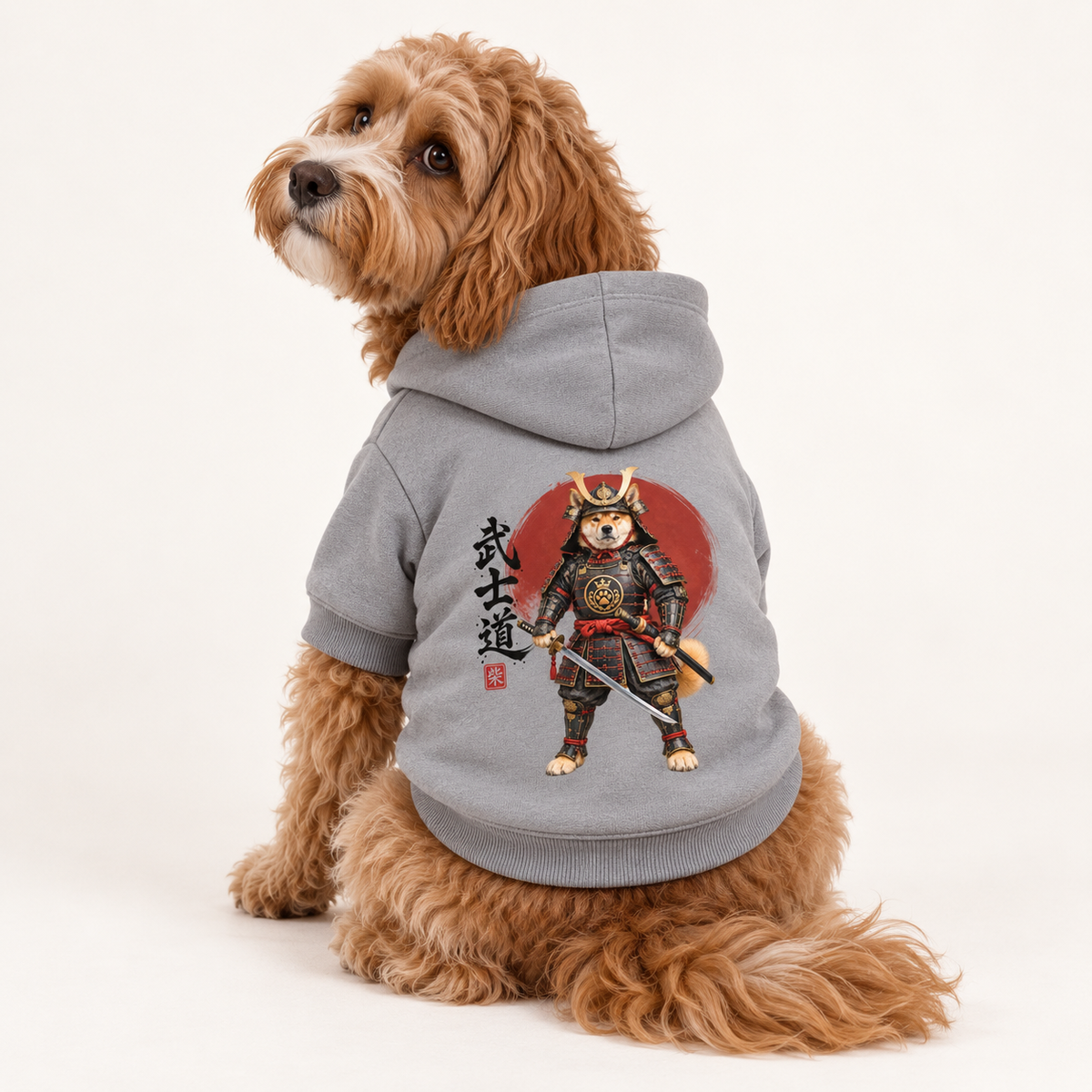 A Cavapoo wearing a gray pet hoodie with a Bushidō-inspired artwork on the back against a white background.